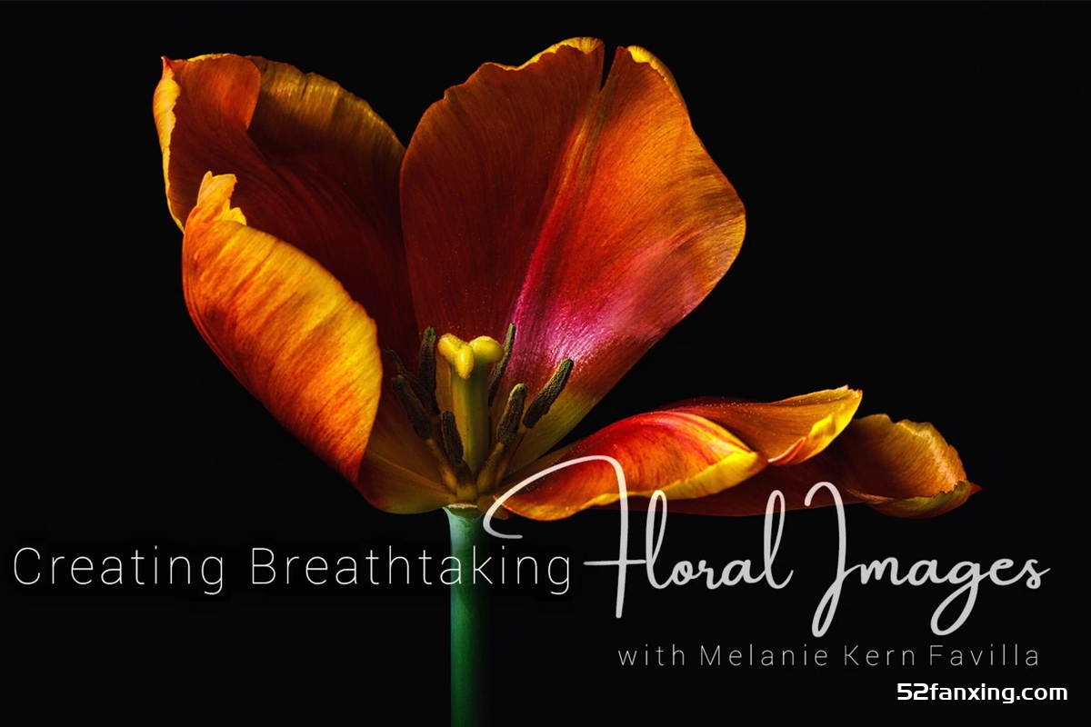 KelbyOne -Melanie Kern-Favilla 花卉静物微距摄影教程-中文字幕