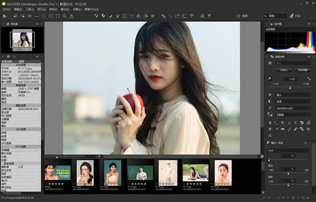 【软件】专业RAW照片处理编辑软件 SILKYPIX Developer Studio Pro 11.0.13.0 Win中文版