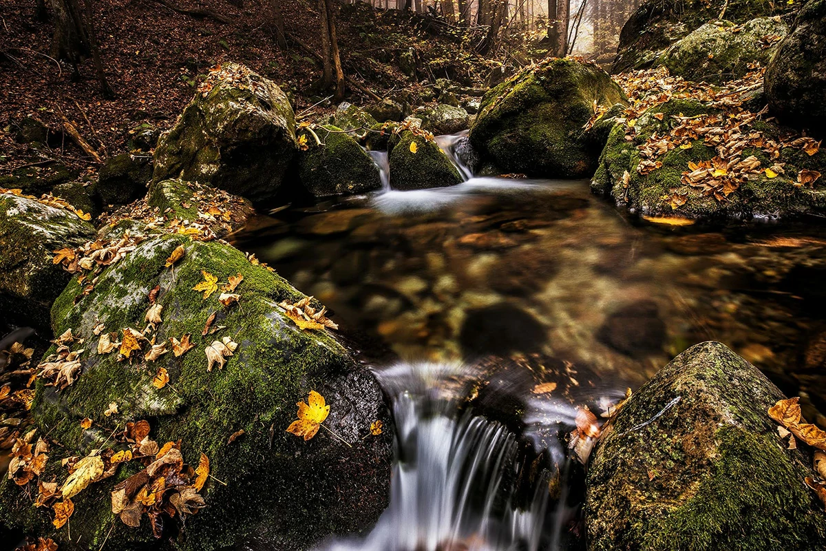 【推荐！教程】LandscaPhoto-旅行者风光后期完整编辑教程预设原图-中英字幕-附RAW素材