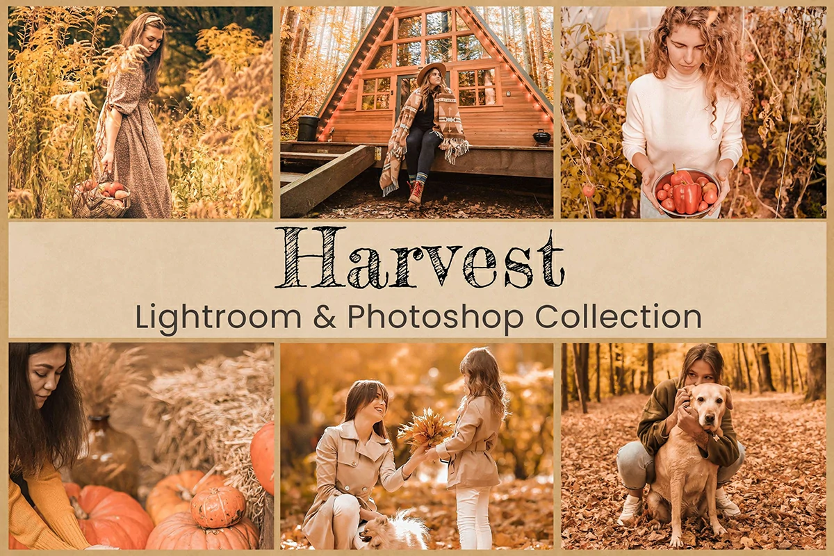 20款金色深秋温暖浓郁摄影后期调色Lightroom预设LUT预设 Harvest Photoshop Actions Lightroom