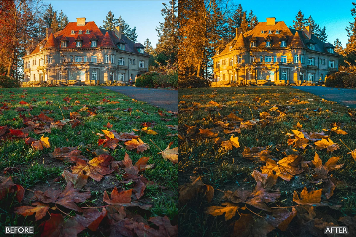 梦幻秋季电影效果LR预设包Autumn Fall Lightroom Presets