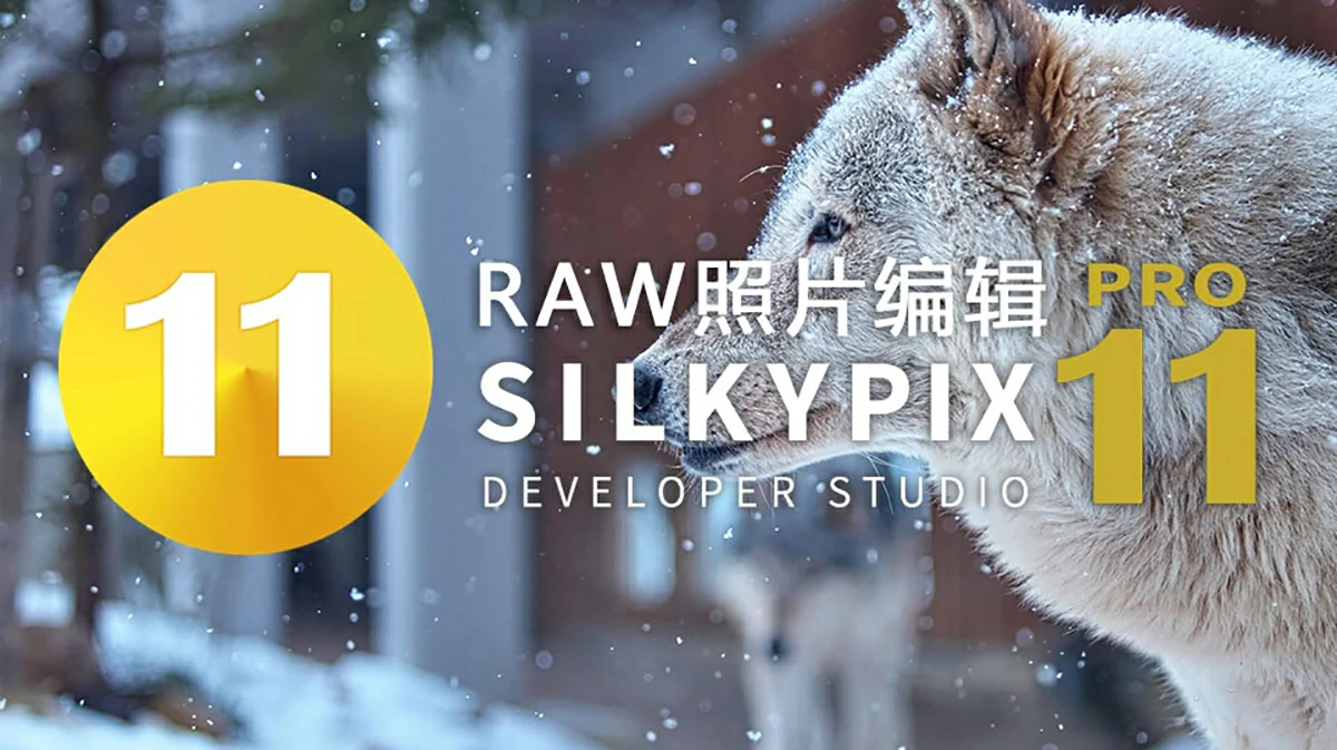 【软件】专业RAW照片处理编辑软件 SILKYPIX Developer Studio Pro 11.0.13.0 Mac中文版