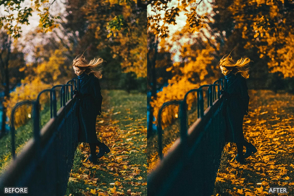 梦幻秋季电影效果LR预设包Autumn Fall Lightroom Presets