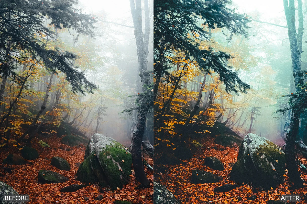 梦幻秋季电影效果LR预设包Autumn Fall Lightroom Presets