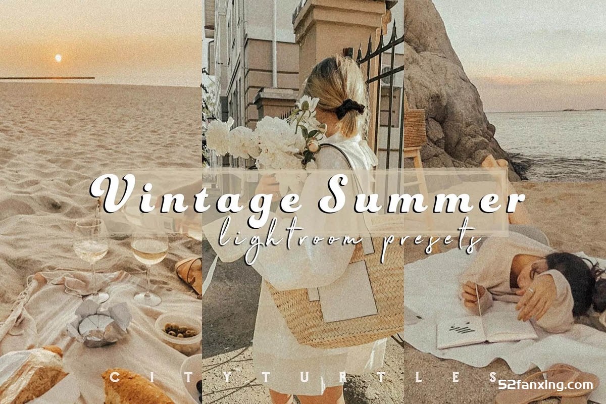 颗粒感电影胶卷Lightroom预设 Film Grain VINTAGE SUMMER Presets