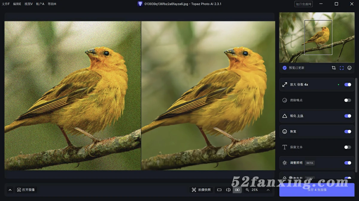 Topaz Photo AI mac汉化版(人工智能图像放大降噪锐化软件) v2.3.0