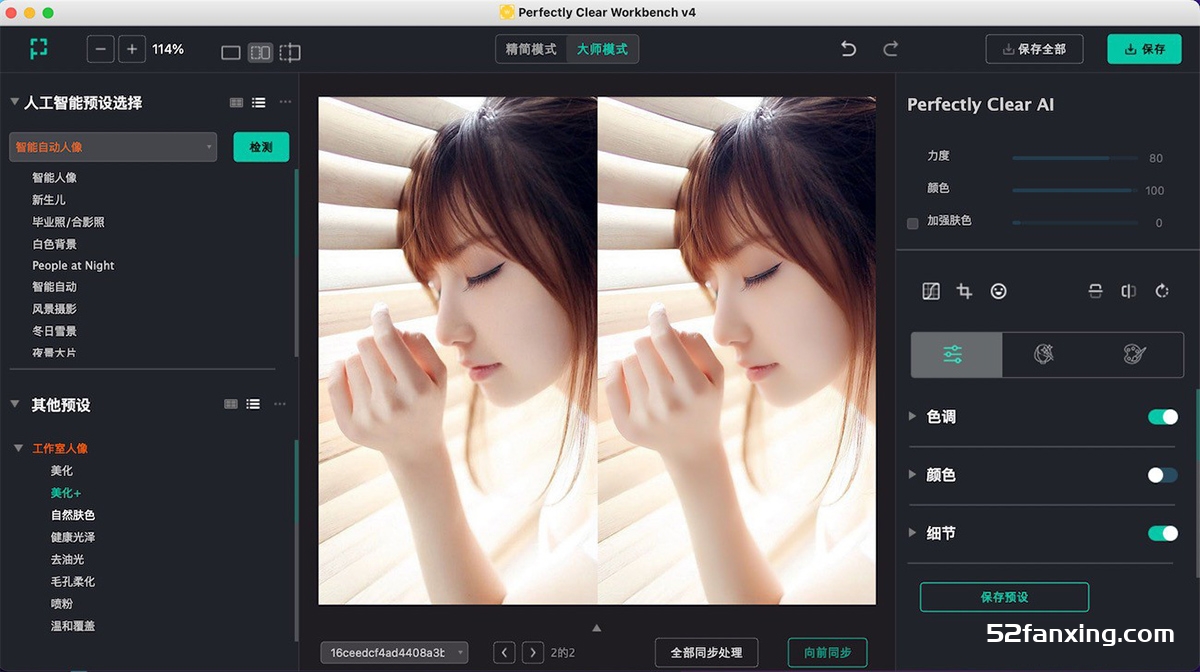 Perfectly Clear Workbench Mac(AI图像清晰细节修复软件) v4.6.0.中文版