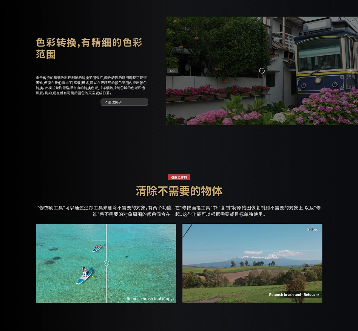 【软件】专业RAW照片处理编辑软件 SILKYPIX Developer Studio Pro 11.0.13.0 Win中文版