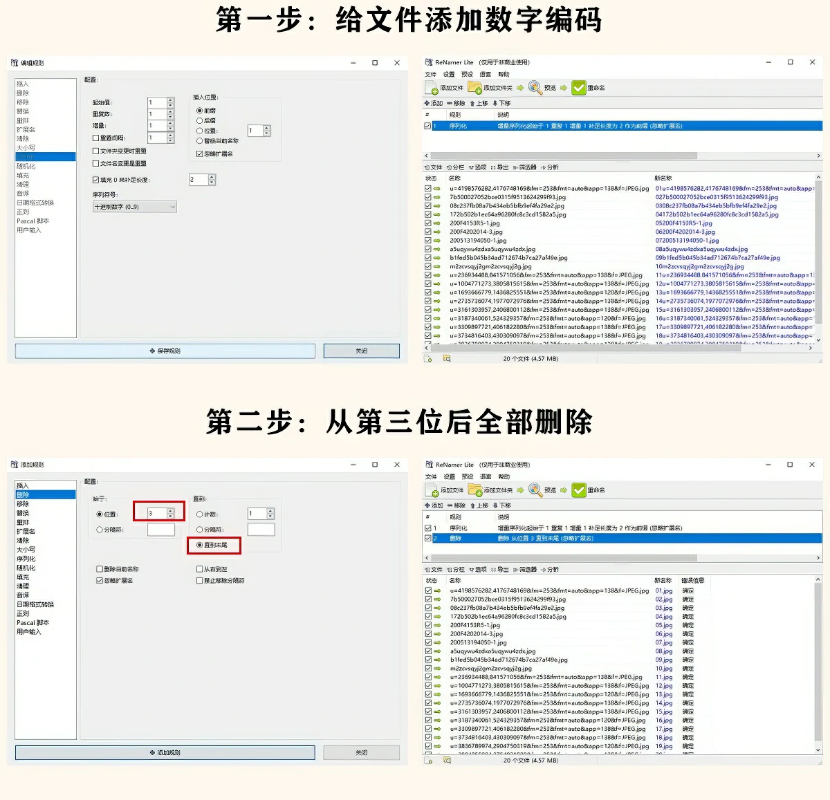 【软件】文件文件夹一键批量改名重命名工具ReNamer Por v7.5软件+使用教程