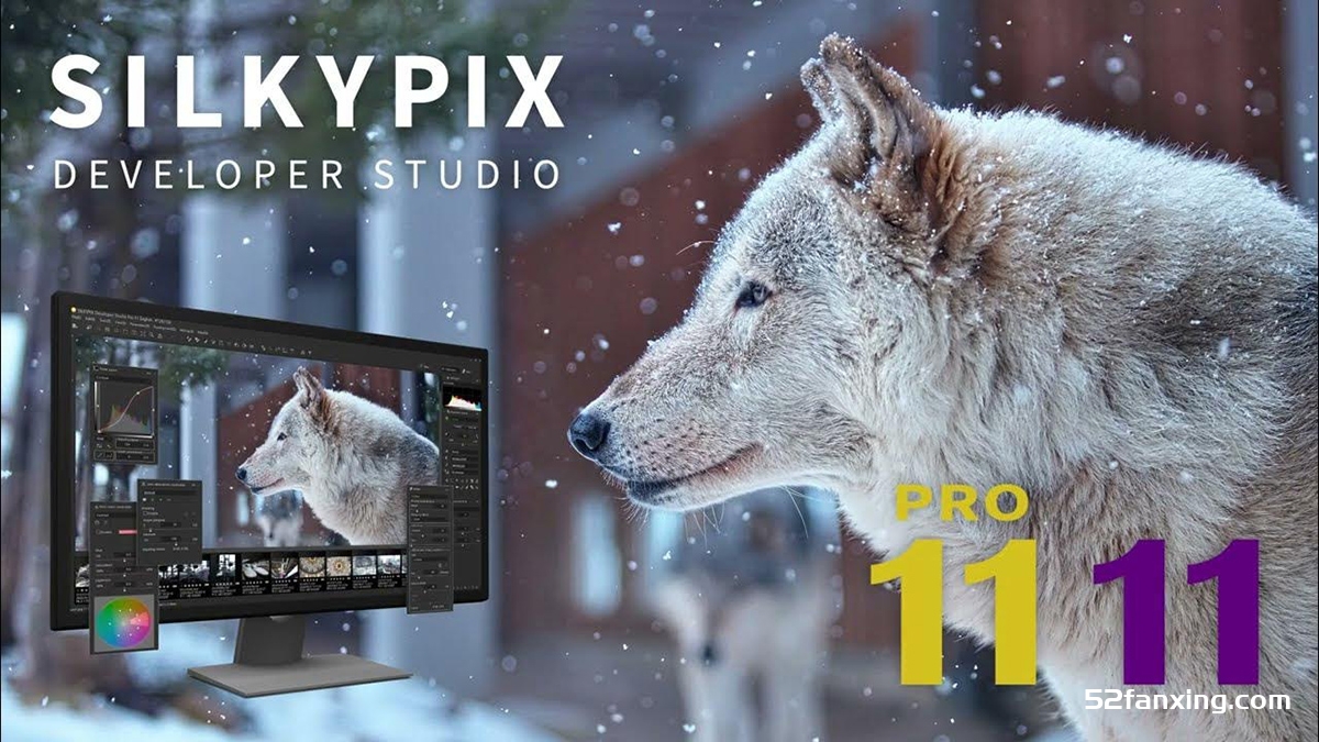 SILKYPIX Developer Studio Pro 11.0.12.0 x64汉化版|WinX64