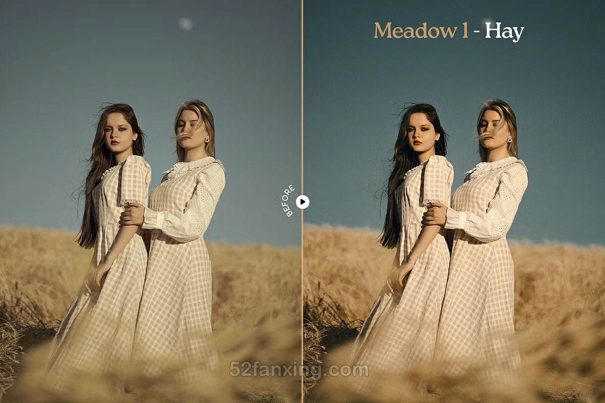 【PS/LR预设】梦幻温暖胶片人像lr预设 Meadow Lightroom Presets