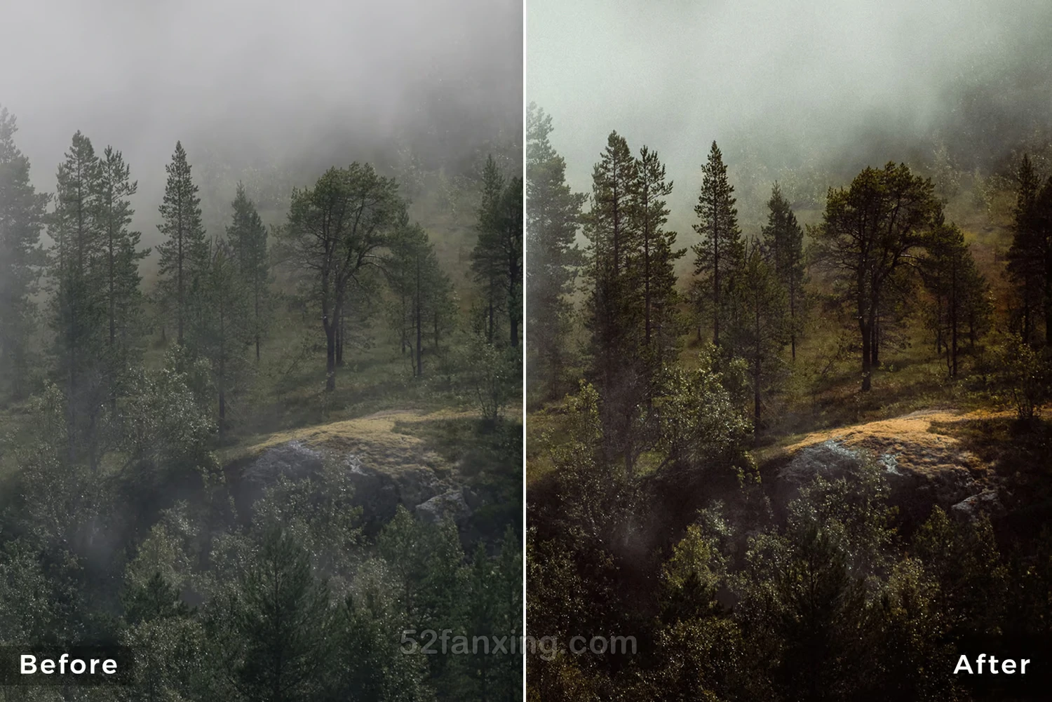 13款森林风光后期调色Capture ONE样式Northlandscapes – Forest Landscapes