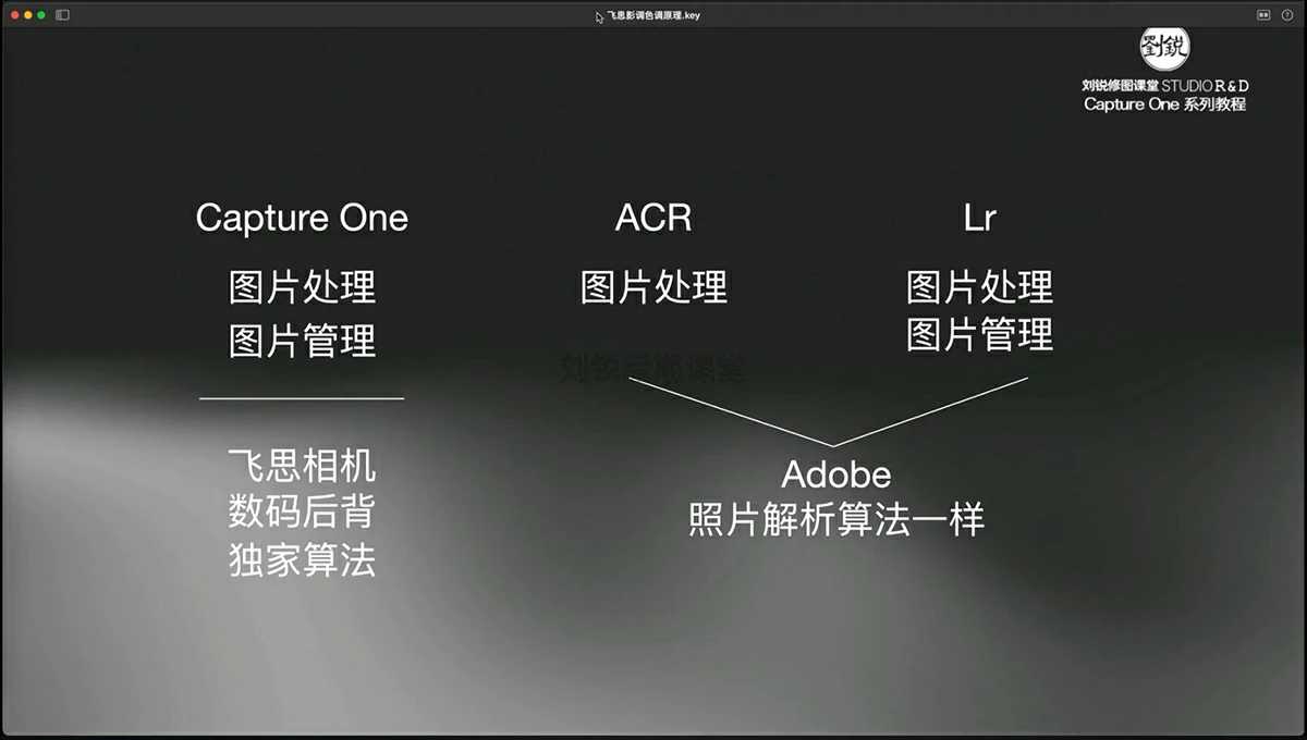 Capture One飞思软件从零到进阶系统课_刘锐后期课堂