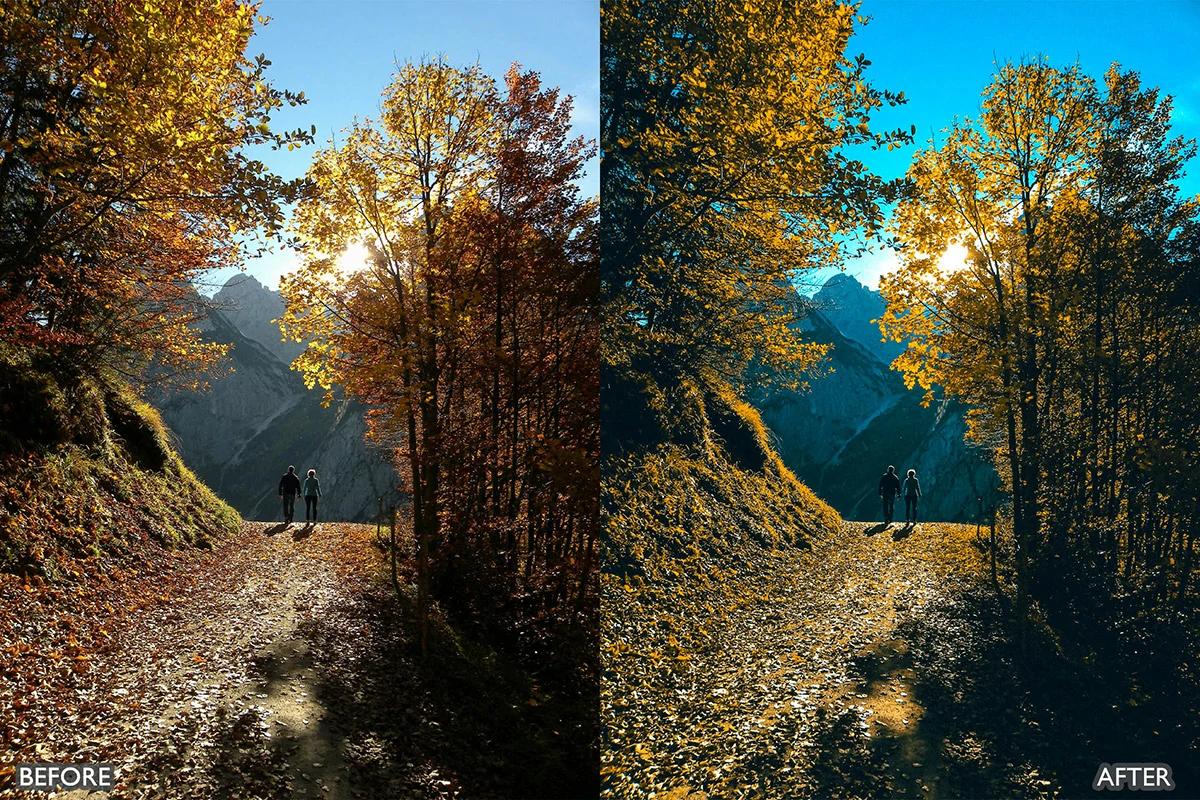 梦幻秋季电影效果LR预设包Autumn Fall Lightroom Presets