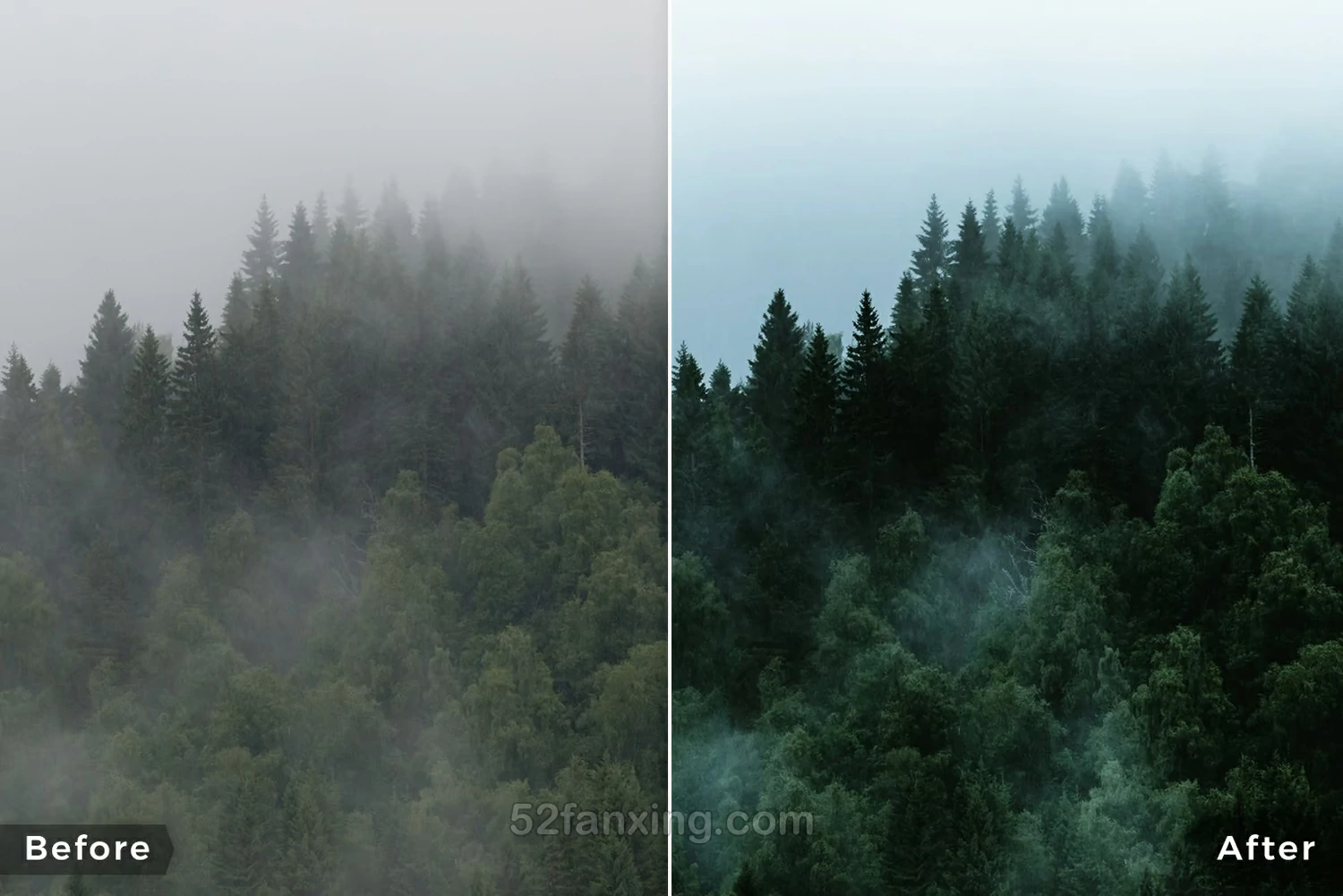 13款森林风光后期调色Capture ONE样式Northlandscapes – Forest Landscapes