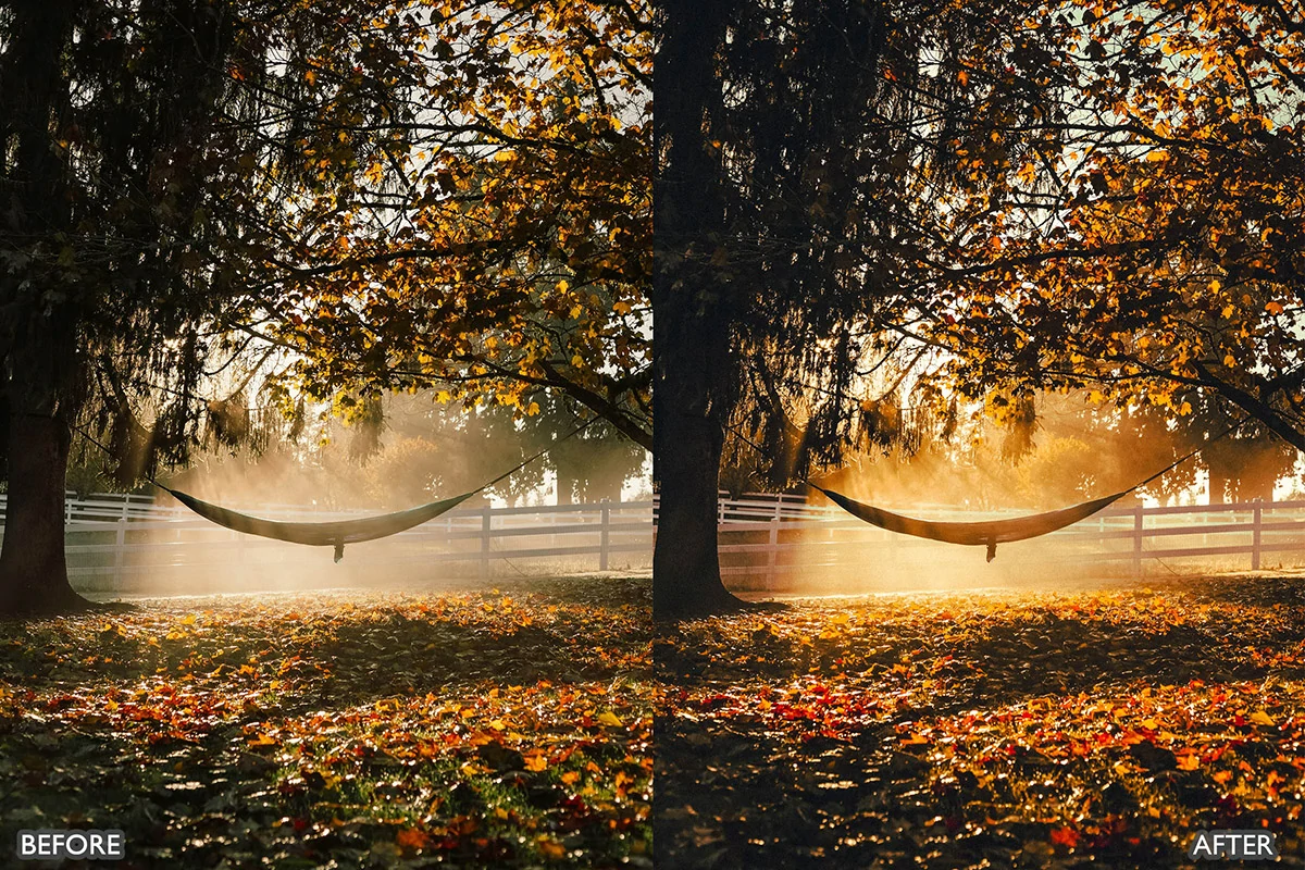 梦幻秋季电影效果LR预设包Autumn Fall Lightroom Presets