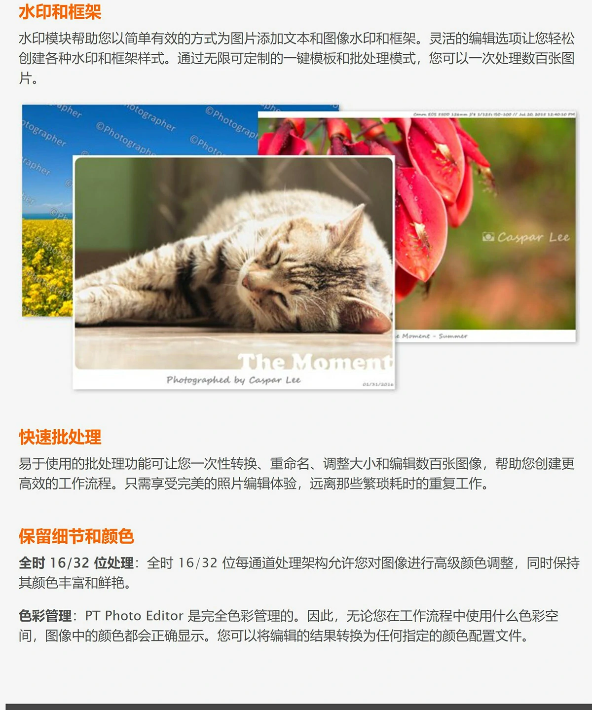 简易图片创意设计编辑处理软件 PT Photo Editor Pro 5.10.4 Win中文版