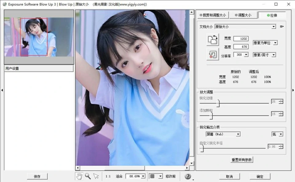 PS图像无损放大汉化插件 Exposure Software Blow Up V3.1.6.0 中文汉化版 WIN系统下载