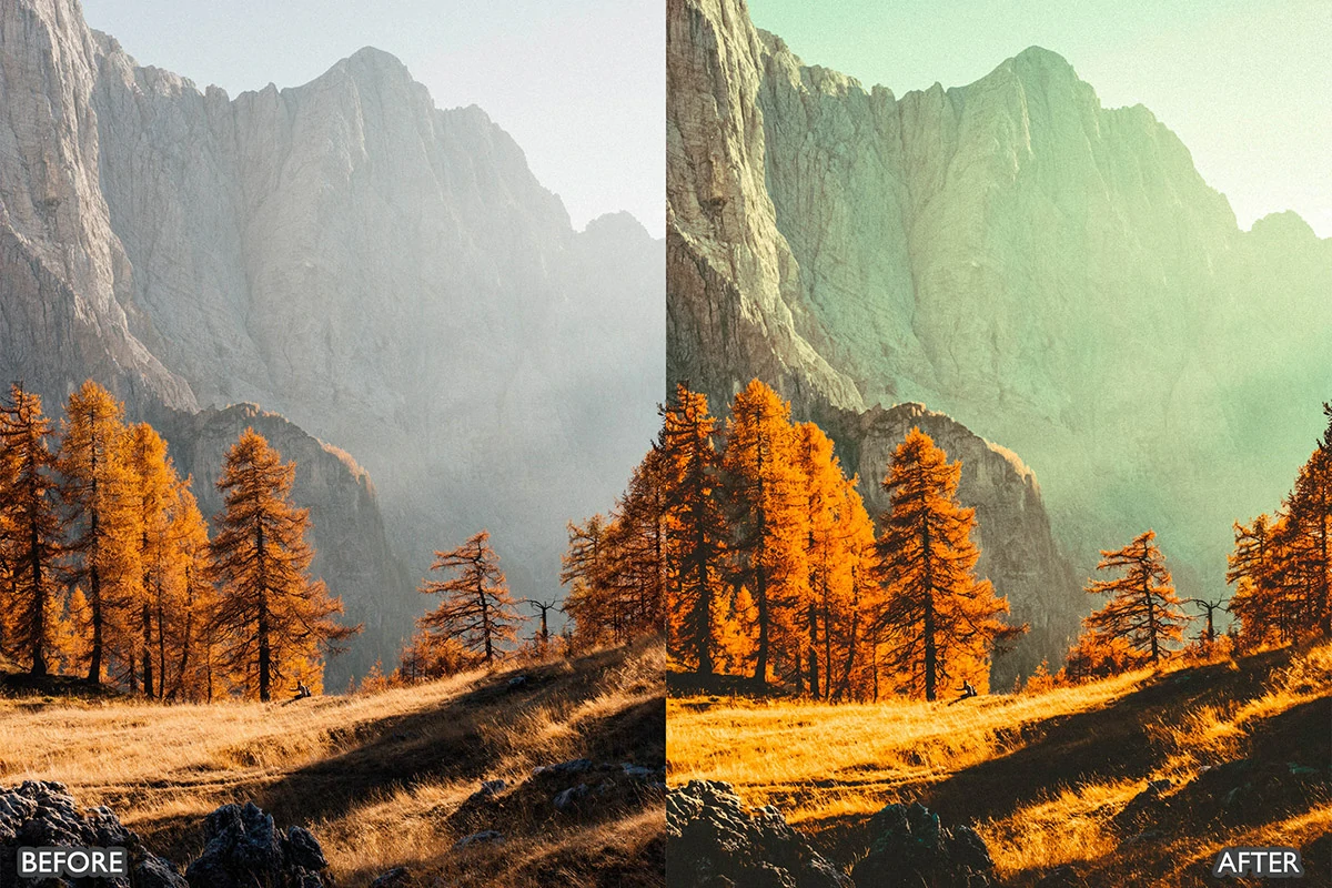 梦幻秋季电影效果LR预设包Autumn Fall Lightroom Presets