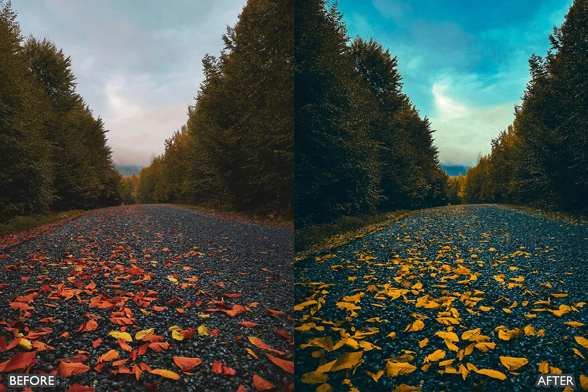 梦幻秋季电影效果LR预设包Autumn Fall Lightroom Presets