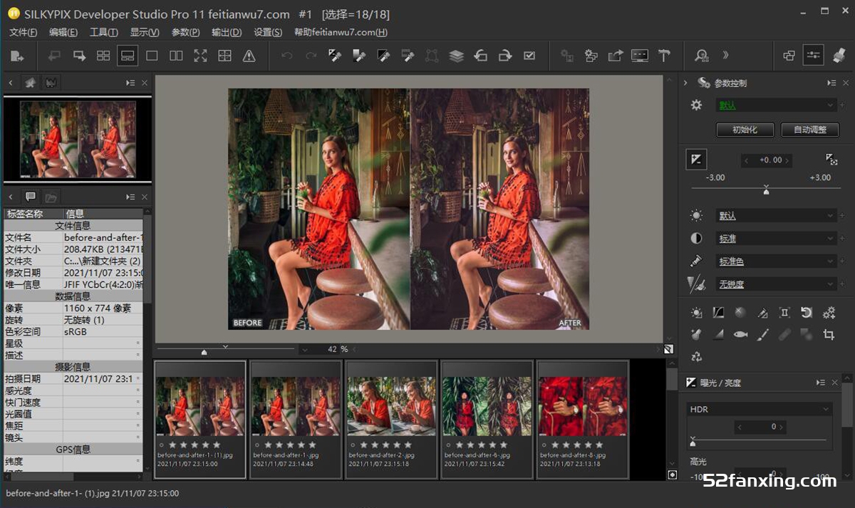 SILKYPIX Developer Studio Pro 11.0.12.0 x64汉化版|WinX64