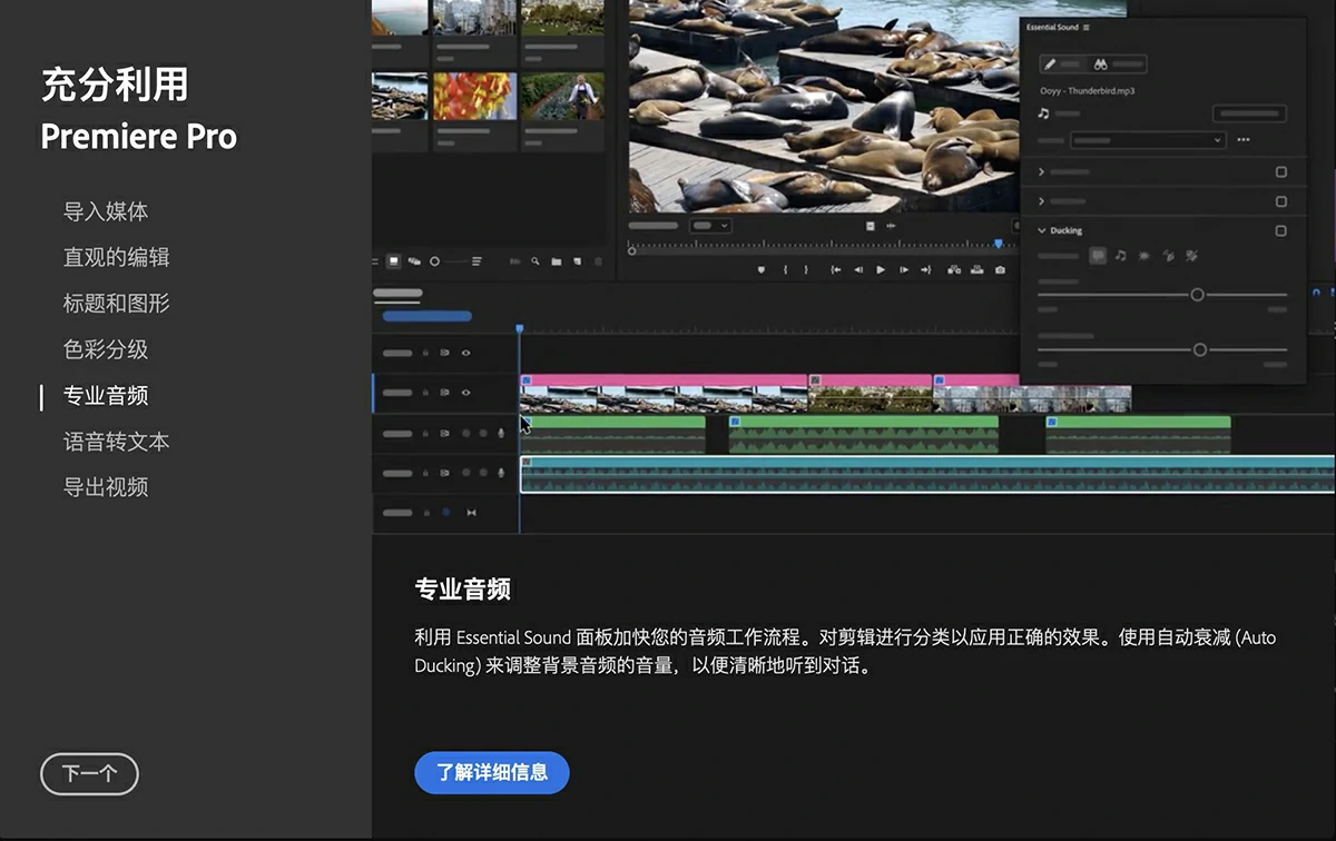 Adobe Premiere Pro 2024 for Mac(pr 2024) v24.0中文激活版 支持m1