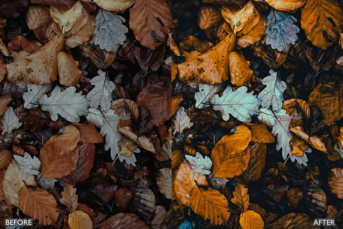 梦幻秋季电影效果LR预设包Autumn Fall Lightroom Presets