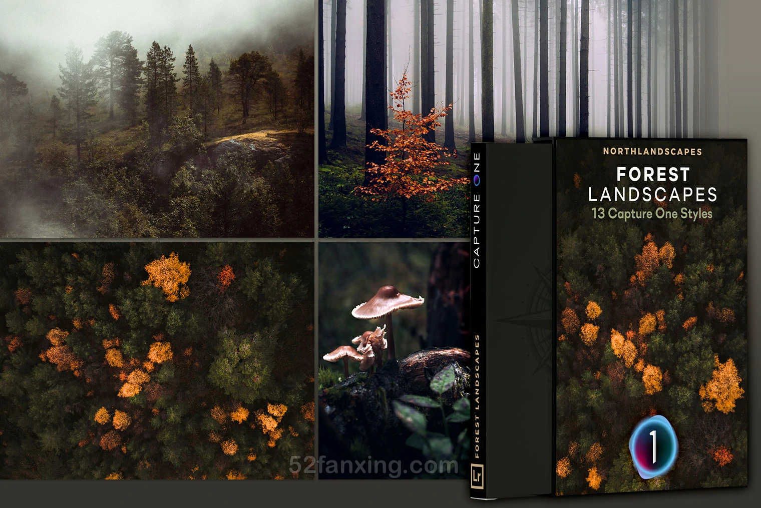 13款森林风光后期调色Capture ONE样式Northlandscapes – Forest Landscapes