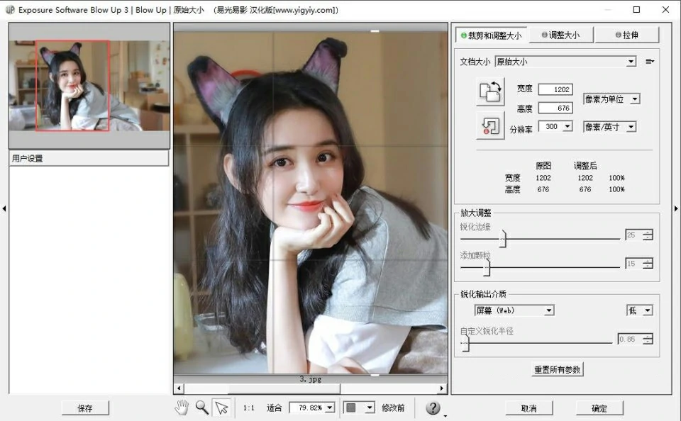 PS图像无损放大汉化插件 Exposure Software Blow Up V3.1.6.0 中文汉化版 WIN系统下载