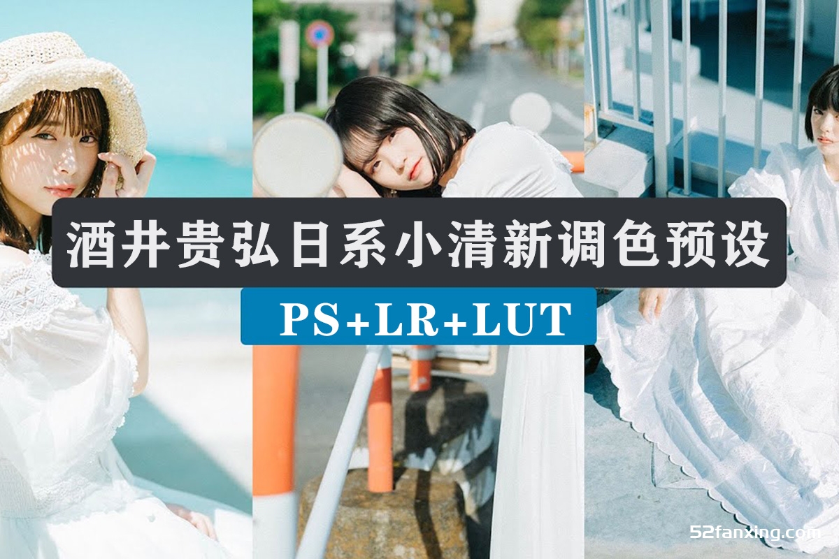 酒井贵弘Camera Raw预设日系人像胶片PS手机LR滤镜PR达芬奇LUT