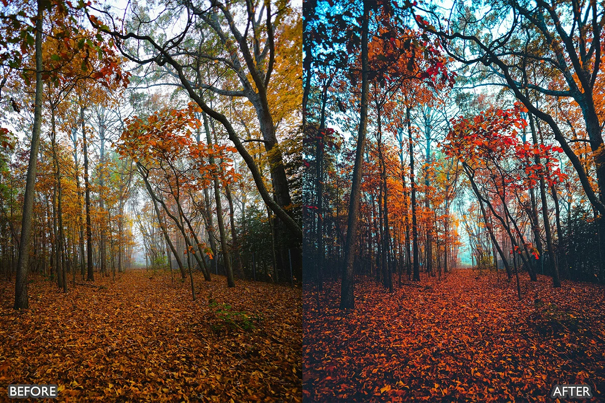 梦幻秋季电影效果LR预设包Autumn Fall Lightroom Presets