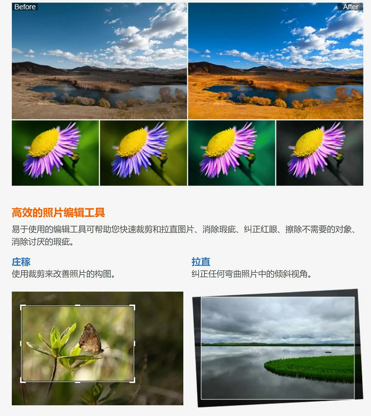 简易图片创意设计编辑处理软件 PT Photo Editor Pro 5.10.4 Win中文版