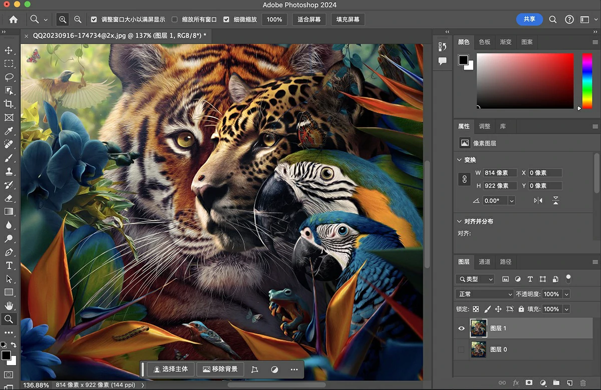 Photoshop 2024 for mac(ps2024 ) v25.6.0 通用正式版-支持m1/m2(神经网络滤镜可用)